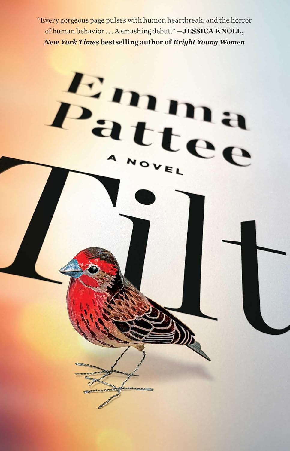 Cover of novel Tilt
